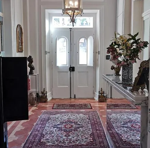 Vitorino 科拉雷斯